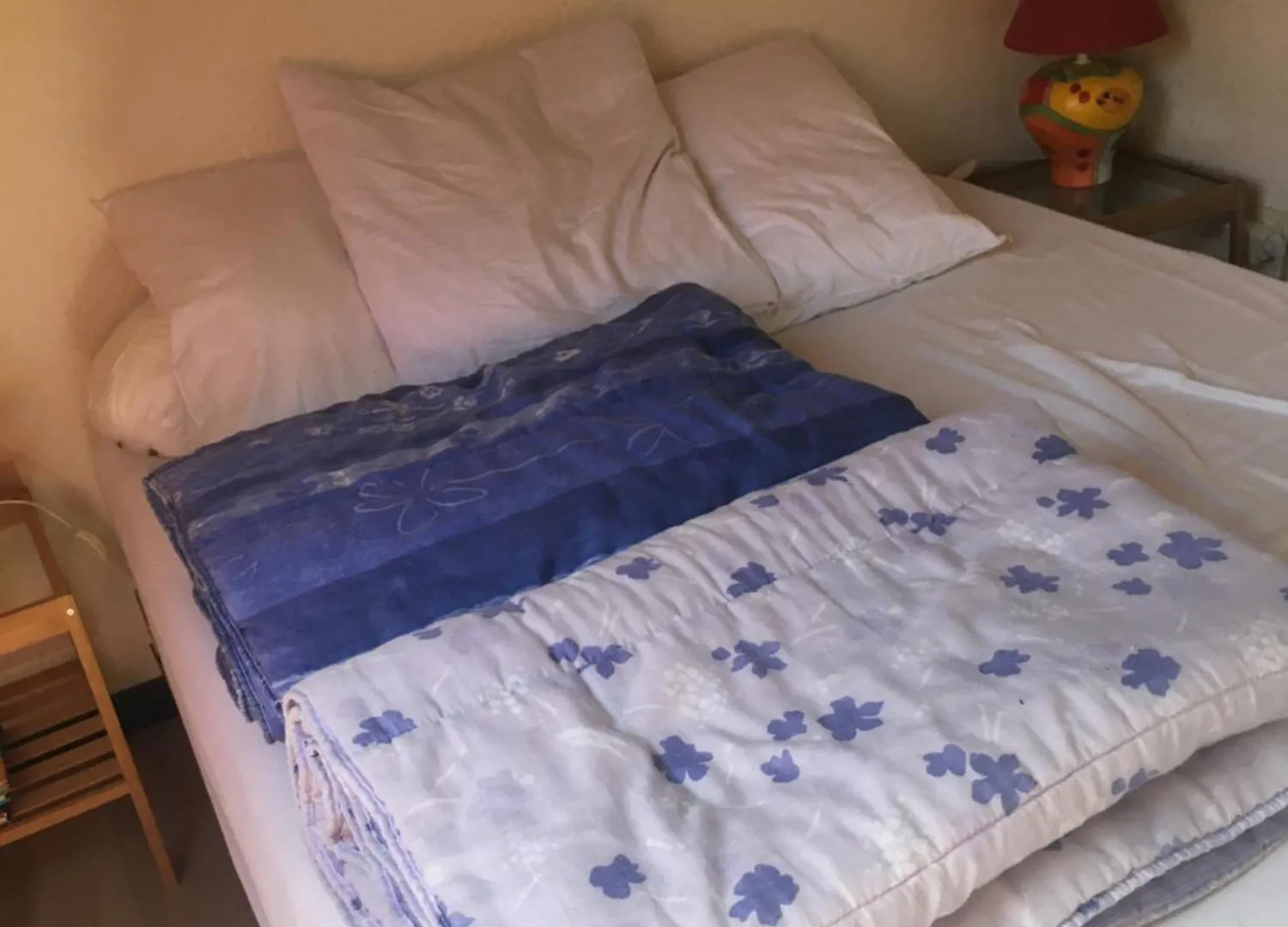 Pyrene Apartment Vielle-Aure